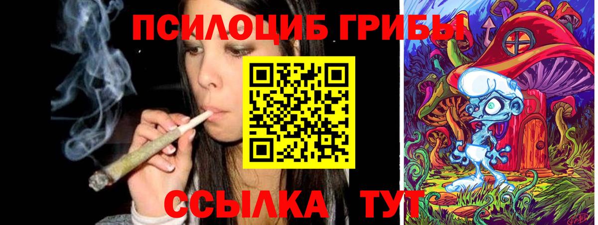 Галлюциногенные грибы прущие грибы Соль-Илецк