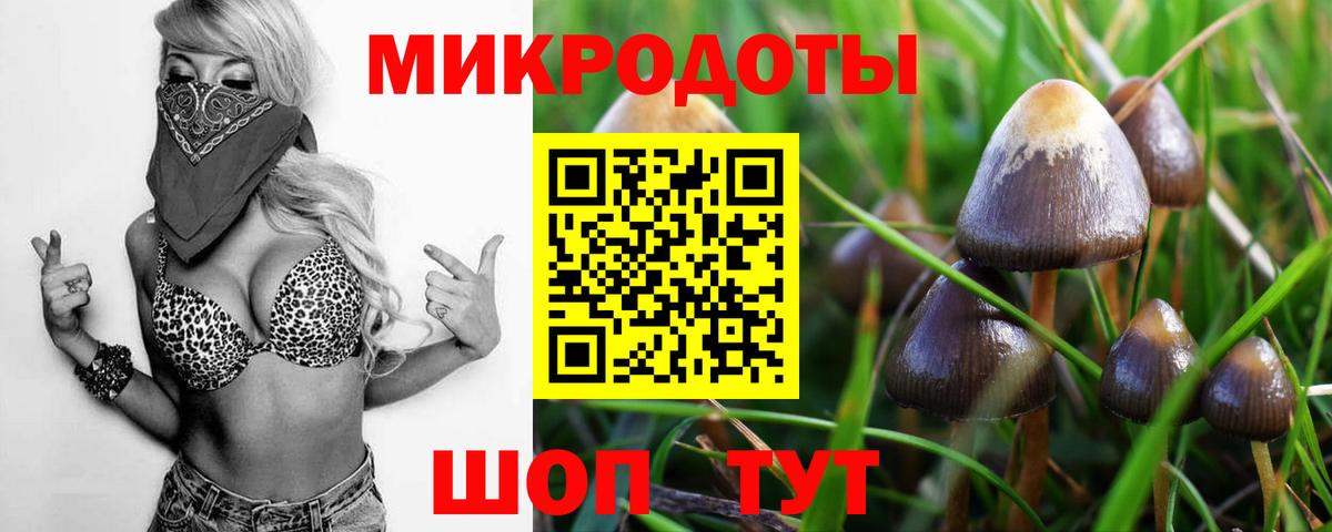 Соль-Илецк  Псилоцибиновые грибы Magic Shrooms  Галлюциногенные грибы Psilocybine cubensis  где найти наркотики  Вход с VPN 
